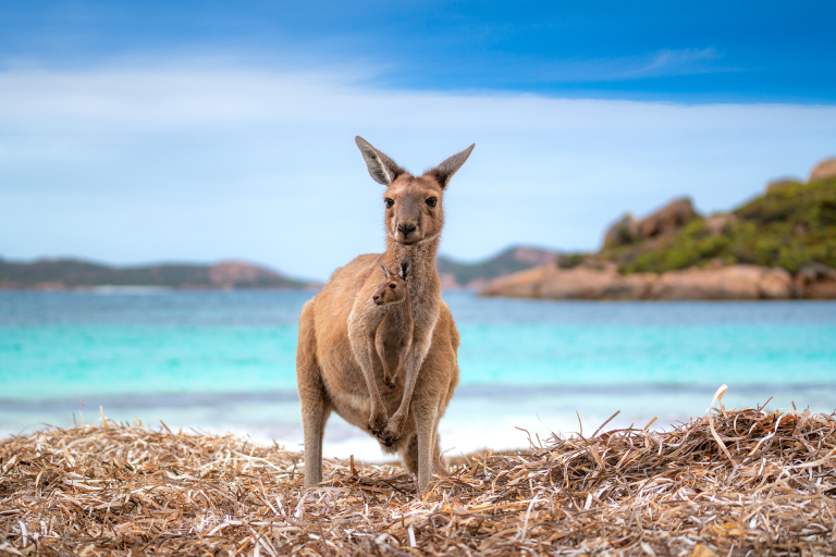 As praias mais espetaculares da Austrália – viagens encantadoras